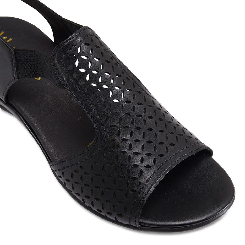 Champion Sandal in Black Leather