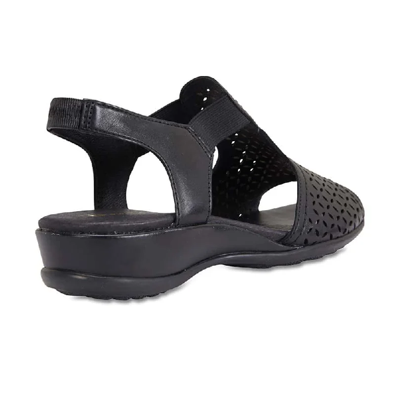 Champion Sandal in Black Leather